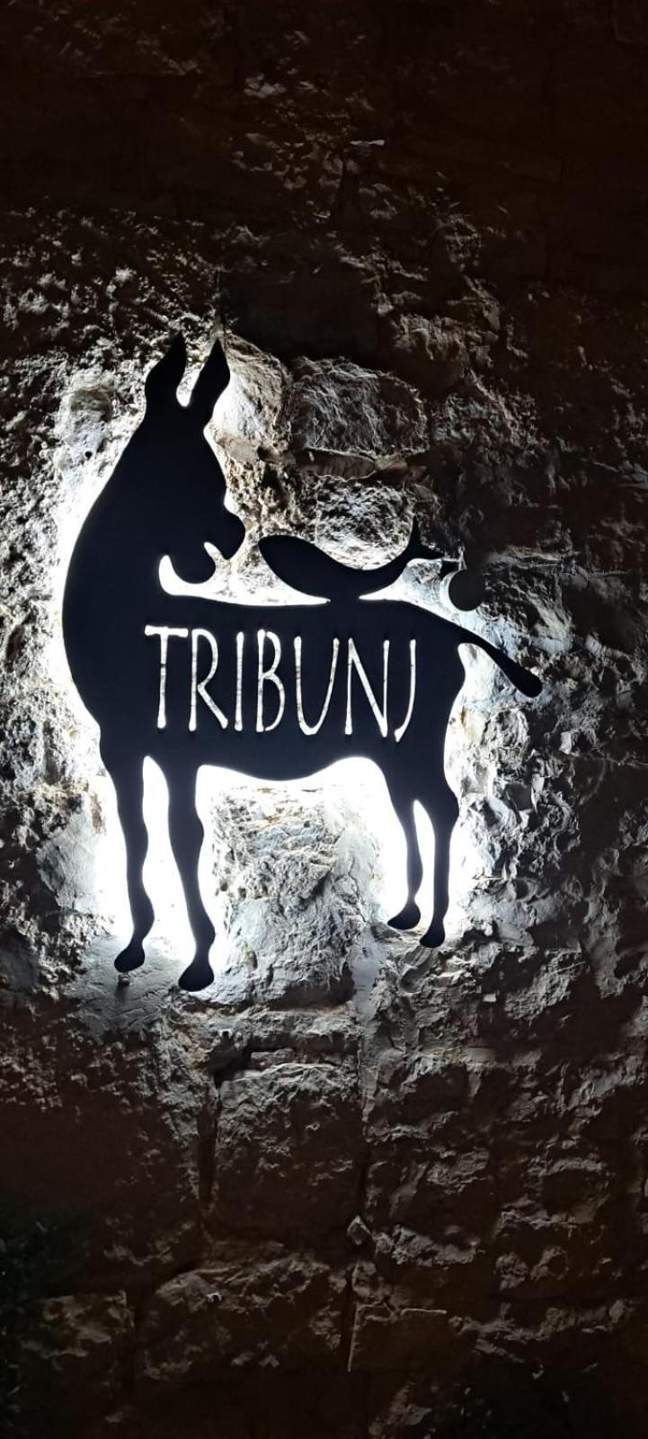 Jareb Apartman Tribunj (Sibenik-Knin)